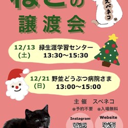 猫の譲渡会　12/21（日）野並どうぶつ病院さまで開催
