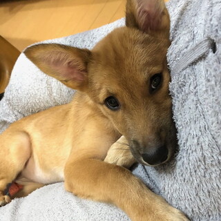 “てい” 女の子　小柄でもまけてない次女タイプ