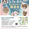 【12/7 東日本橋】♡たつまきパワーくん サムネイル7