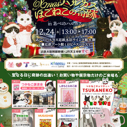 Xmasハルカス～ほごねこの奇跡～ inあべのハルカス サムネイル1