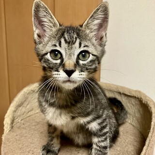 ありがとうございました★★甘えん坊の　コウガくん