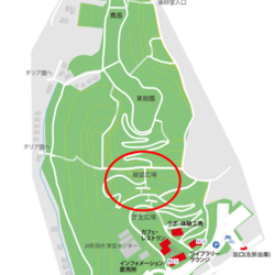 町田薬師池公園四季彩の杜　西園 ウェルカムゲート譲渡会