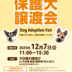 保護犬・保護猫譲渡会＆マルシェ「大日様の縁結び」