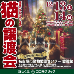猫の譲渡会☆名古屋市動物愛護センター