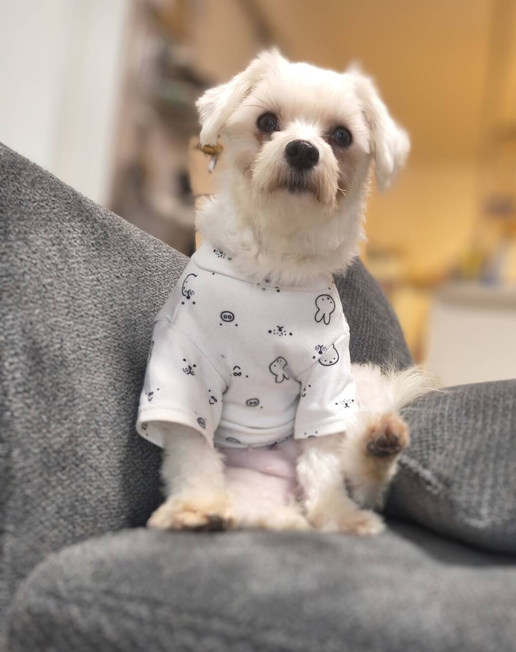 元気はつらつな甘えん坊レタスちゃん♡ サムネイル2