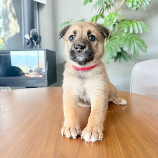 生き物はみーんな大好き♡【そらちゃん】