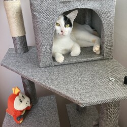 すごい美人じゃないですか