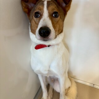 ワンコと遊ぶのが好きな【ルーベン】君