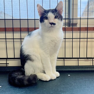 隠れ甘えん坊の女の子