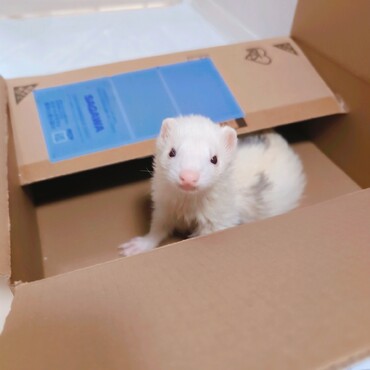 お引越しのお手伝い(^^)