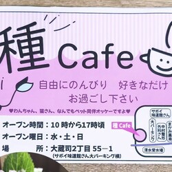 チップのふれあい会