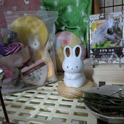 お月さまを楽しんでますか？