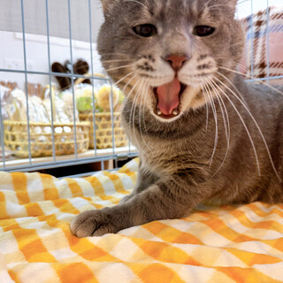 ෆ⃛人馴れ抜群ෆ⃛だいちゃん