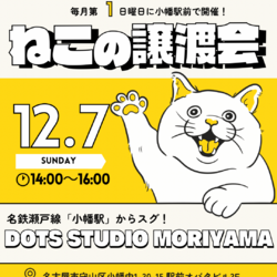 保護猫の譲渡会【12/7(日)名古屋】