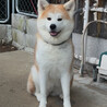 二寿