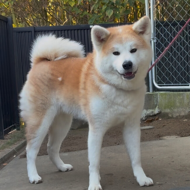 二寿のカバー写真