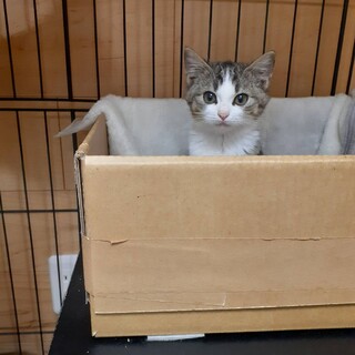 〝リボンちゃん〟です♪