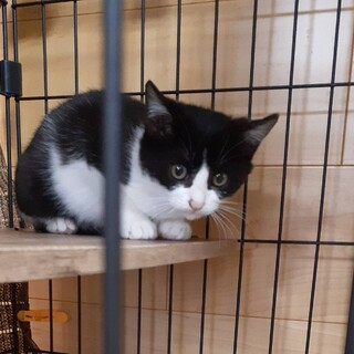 〝ゆう君〟です♪