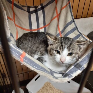 〝トム君〟です♪