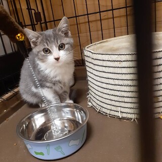 〝ロン君〟です♪