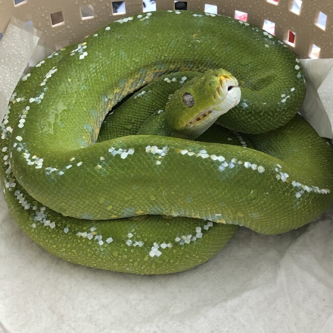 斬九郎のカバー写真