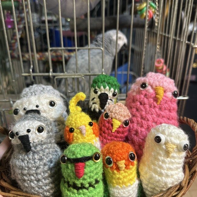 シロハラヒトミのカバー写真