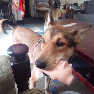 優しい女の子ブルマ