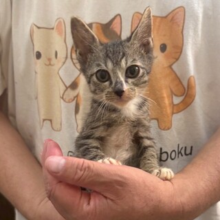 小柄だけどご飯大好き！！紫郎くん