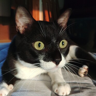 こうなんだね！