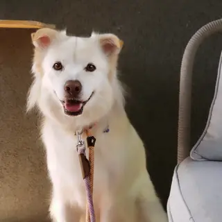 とっても穏やかで控えめなクレアさん