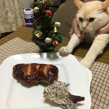 僕はこんなのよりチュールが好きなんだぁ！ちょっと早いクリスマス