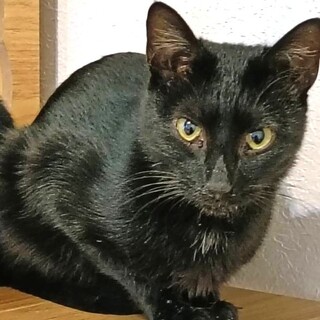 おっかさんとこつぶ家族一緒に♡