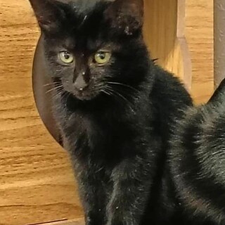 こぐまとこつぶとおっかさん家族一緒に♡