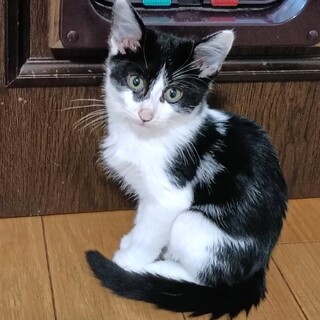 こつぶとおっかさん族一緒に♡