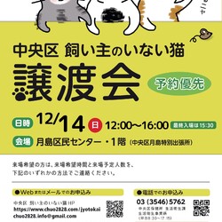 中央区飼い主のいない猫譲渡会