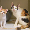 新たなご家族ができました♪ サムネイル2