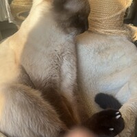 エマとミルクとお空のルーくん