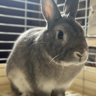 食べるの大好き元気な男の子です！