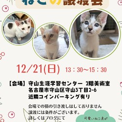 ねこの譲渡会 in守山生涯学習センター