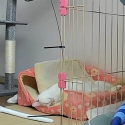 「伸び代しか感じない」サムネイル1