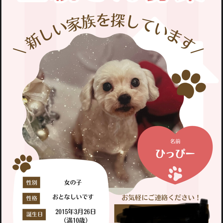 ひっぴーのカバー写真