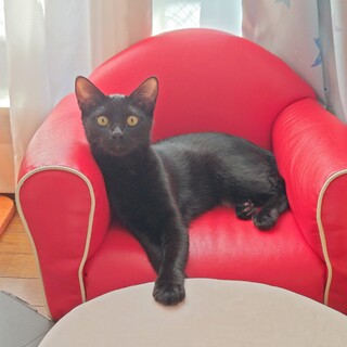 慣れたら一途な甘えん坊の澪(みお)くん