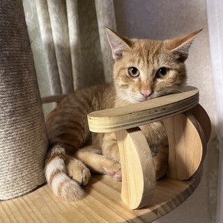 12/6稲毛海岸ෆ⃛ちゅ〜る大好きෆ⃛まるちゃん