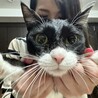 ちょび