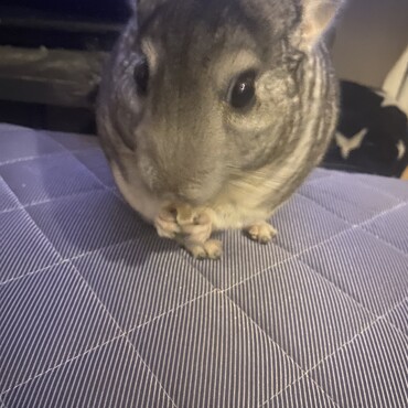 お前のものは俺のもの！！！！