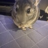 お前のものは俺のもの！！！！