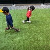 ゆうだだだ