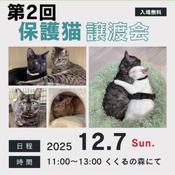 譲渡会を開催します！