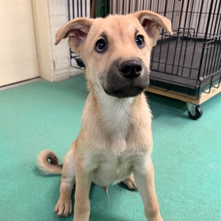 生後6ヶ月齢「明るく可愛い男のコ！」