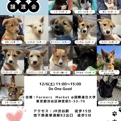 Do One Good サムネイル2